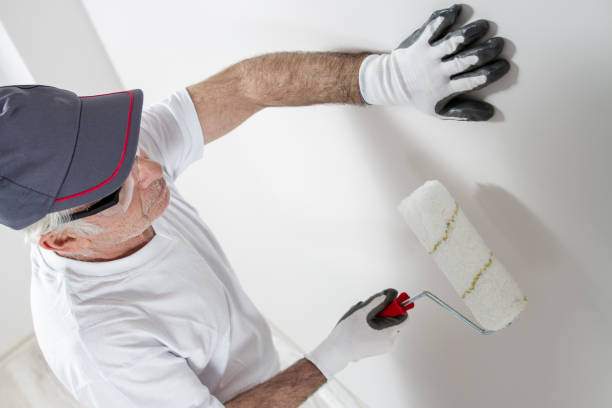 Professional Mold Removal in Fort Hall, ID