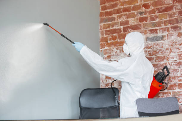 Mold Remediation for Rental Properties in Fort Hall, ID