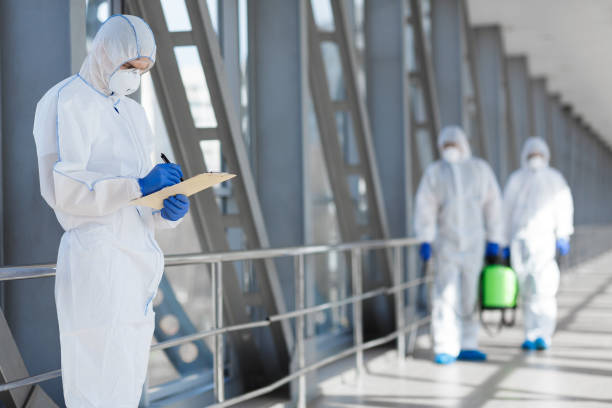 Best Mold Remediation for Healthcare Facilities  in Fort Hall, ID