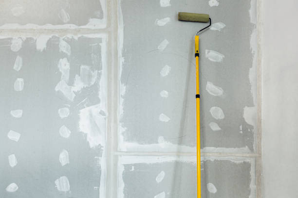Trusted Fort Hall, ID Mold Removal Experts