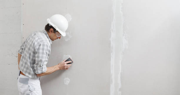 Best Mold Remediation for Healthcare Facilities  in Fort Hall, ID