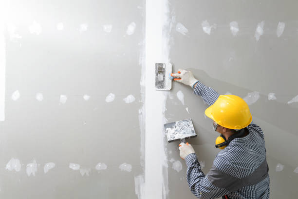 Best Crawl Space Mold Remediation  in Fort Hall, ID