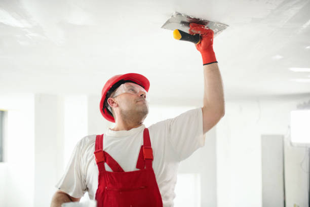 Best Basement Mold Removal  in Fort Hall, ID
