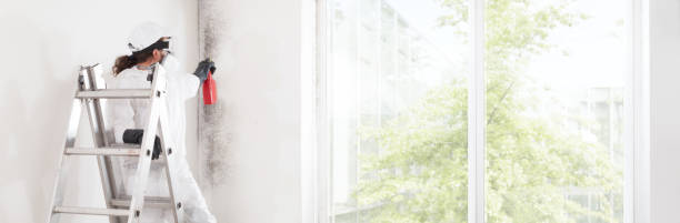 Best HVAC Mold Inspection and Cleaning  in Fort Hall, ID