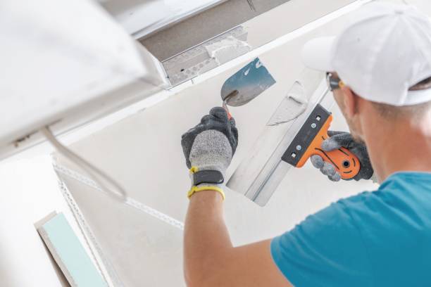 Environmental Consulting for Mold Prevention in Fort Hall, ID
